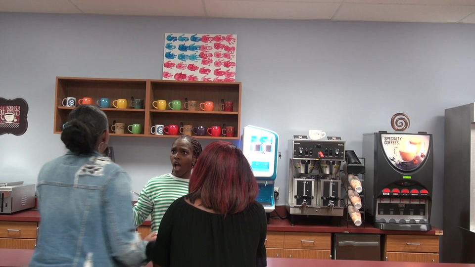 Employability Vingette 2018